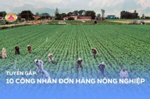 Tuyển gấp đơn hàng Nông nghiệp Hy Lạp