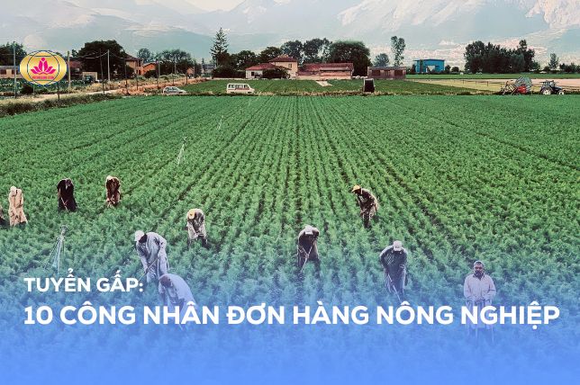 Tuyển gấp đơn hàng Nông nghiệp Hy Lạp