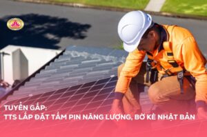 TTS LẮP ĐẶT TẤM PIN NĂNG LƯỢNG, BỜ KÈ Nhật Bản