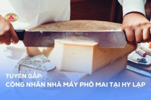 TUYỂN GẤP: CÔNG NHÂN NHÀ MÁY PHÔ MAI TẠI HY LẠP