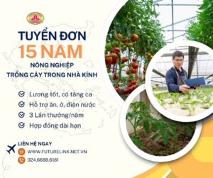tuyển lao động nam đơn nông nghiệp làm việc tại Hy Lạp