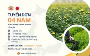 Tuyển dụng đơn hàng nông nghiệp Nhật