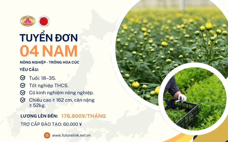 Tuyển dụng đơn hàng nông nghiệp Nhật