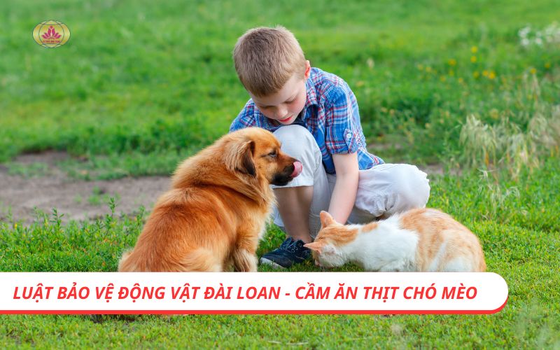 Luật bảo vệ động vật Đài Loan - Cấm ăn thịt chó mèo