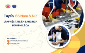 Tuyển dụng lao động làm việc tại Liên Bang Nga - Đơn hàng Phi lê cá