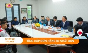 Tổng hợp đơn hàng xuất khẩu lao động Nhật Bản tháng 10 năm 2025