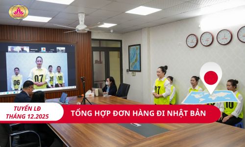 Futurelink Star tổng hợp đơn hàng đi XKLĐ Nhật Bản - Tháng 12.2025