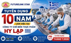 Tuyển 10 nam làm việc tại công ty chế biến thực phẩm hy lạp - Tuyển dụng tháng 07.2026