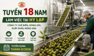 Tuyển 18 lao động làm tại công ty chế biến, đóng gói nông sản làm việc tại Hy Lạp - 2026