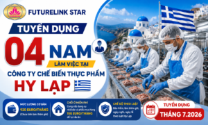 tuyển dụng 4 nam làm việc tại công ty chế biến thực phâm Hy Lạp - Tháng 07.2026