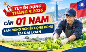 Cần tuyển 01 Nam làm nông nghiệp cộng đồng tại Đài Loan