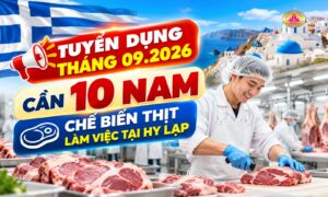 Tuyển 10 Nam làm việc tại công ty chế biến thịt - Hy lạp