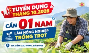 Tuyển 1 nam nông nghiệp trồng trọt, làm việc tại tạ giới huân - Cao Hùng